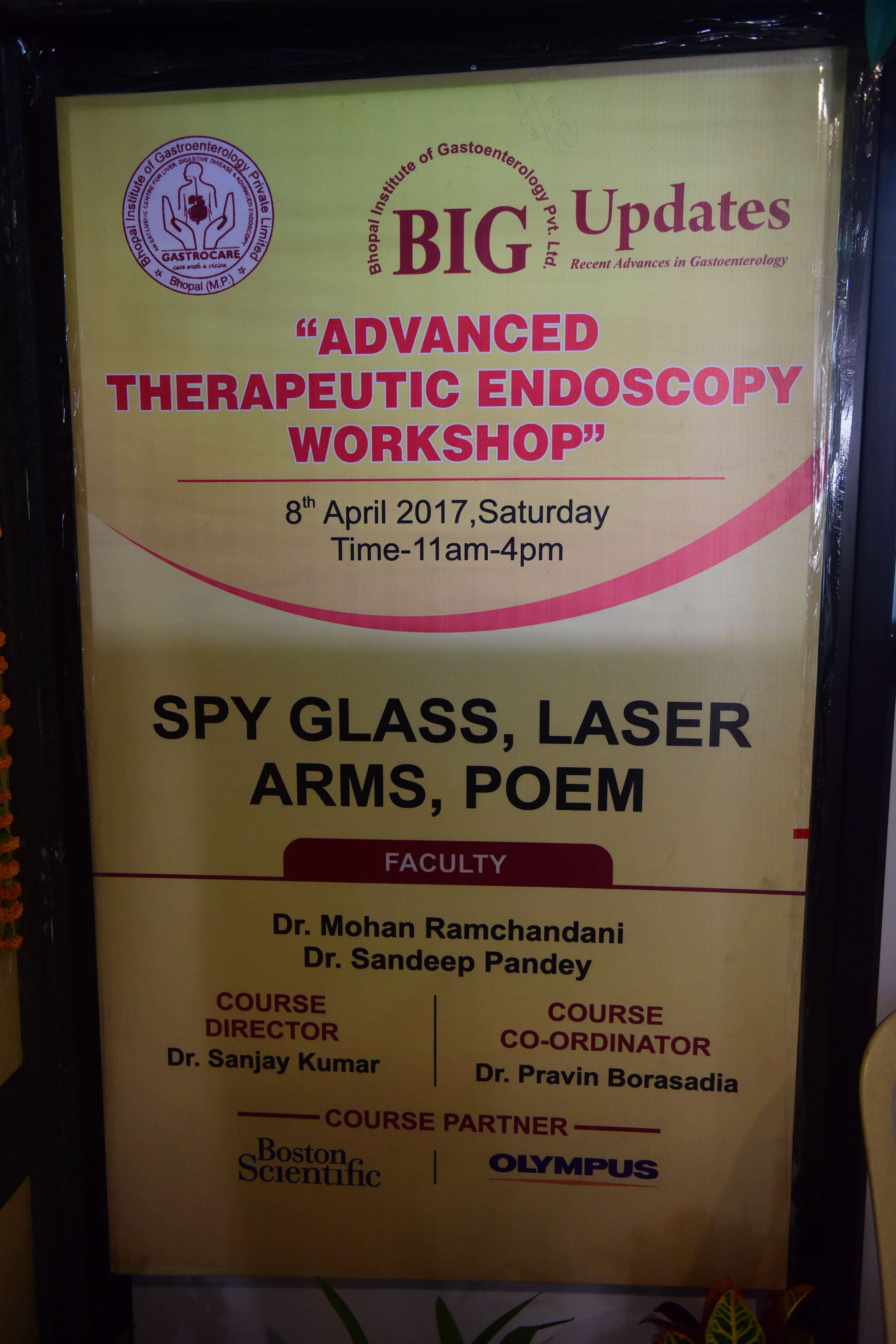 Advanced Therapeutic Endoscopy Workshop